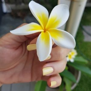 Meet your Posher, Balushette